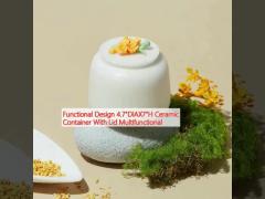 Functional Design 4.7“DIAX7”H Ceramic Container With Lid Multifunctional