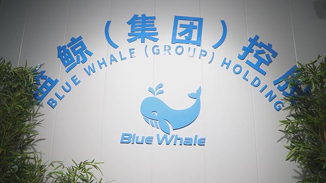 Verified China supplier - Zhejiang Blue Whale Intelligent Equipment Manufacturing Co., Ltd.