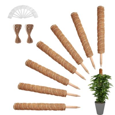 China Eco-friendly Trade Assurance Natural Coir Moss Poles Plant Support Sticks Plant Support Moss Pole for sale