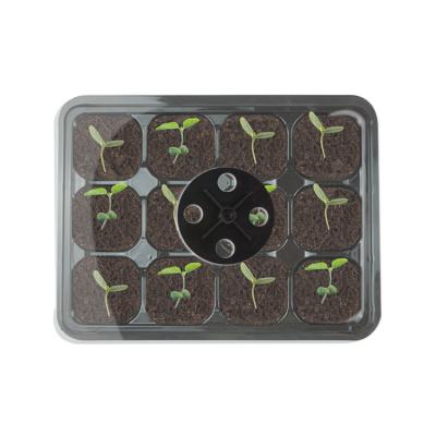 China China Eco-friendly Factory Price Planting Trays Plastic Seedling Tree Seedling Trays Wholesale for sale