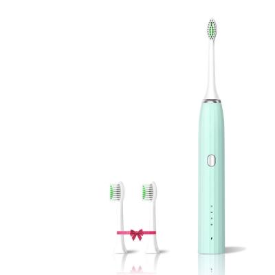 China USB Factory Direct Smart Ultrasonic Whitening Toothbrush Filling Waterproof Sonic Electric Toothbrush Heads for sale