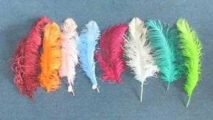 Verified China supplier - Cixi Horng Shya Feather Co., Ltd.