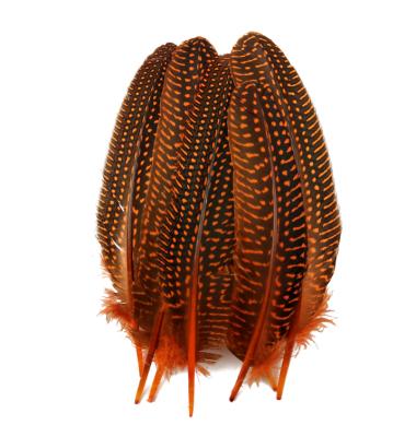 China Guinea feather Horng shya wholesale 15-20cm cheap natural guinea fowl feather for decoration for sale