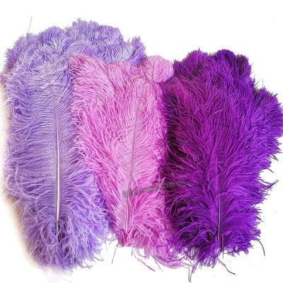 China Decoration feather material. Feather Feather for Good Quality Gold 55-60cm White Ostrich Feathers Cheap Picture Blue Ostrich Feather Ostrich Party Supplies or Mask for sale