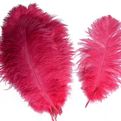 China Main Ostrich Feather Factory Feather Crafts Product Best Quality Ostrich Feathers 12 Colored Ostrich Feathers 25-30cm Inch for sale