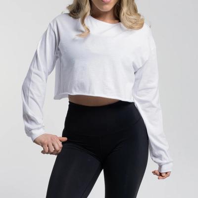 China Custom Sports Crop Long Sleeve Yoga Fitness Activewear Anti-Wrinkle Anti-Wrinkle Women Women T-Shirt for sale