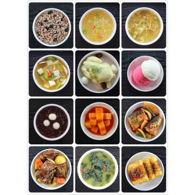 China World High Quality Fake Injection Molding Artificial Food In Plates for sale