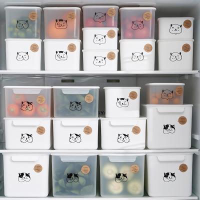 China Cute Eco-Friendly Freshness Preservation Food Grade Fridge Portable Plastic Kitchen Lunch Storage Box With Cat for sale