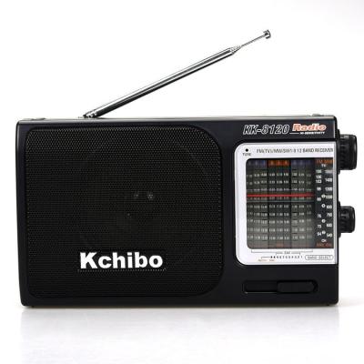 China Eco - Friendly And Good Sound Multiband FM Switch MW 10 Premium Quality Digital Radio for sale