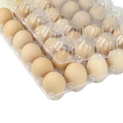 China 30 Elegant Plastic Egg Tray Plastic Egg Tray Reusable Cell Material Disposable Blister Plastic Egg Cartons for sale