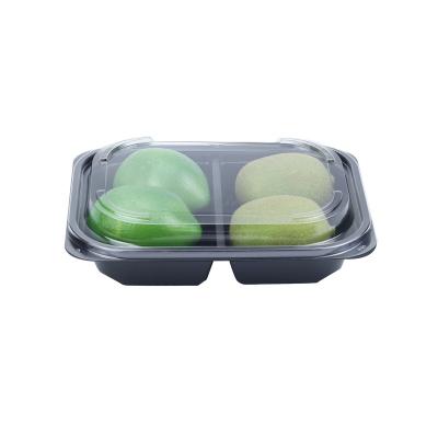 China Biodegradable Disposable Double Sided Compartment Box Food Containers Boxes With Compartments For Fruit for sale