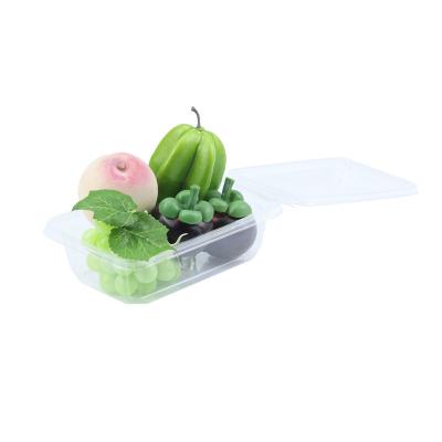 China 2022 NEW Plastic Lattice Biodegradable Fruit Storage Box 1 Sealed Plastic Crisper Box For Vegetables And Fruits for sale