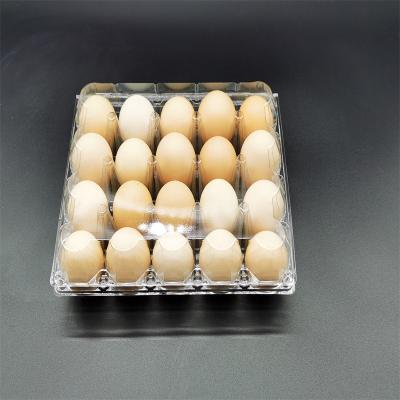 China 20 Holes Biodegradable Plastic Egg Carton Disposable Thickened PET Environmental Material for sale