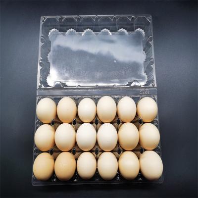 China 18 Holes Biodegradable Plastic Egg Carton Disposable Thickened PET Environmental Material for sale