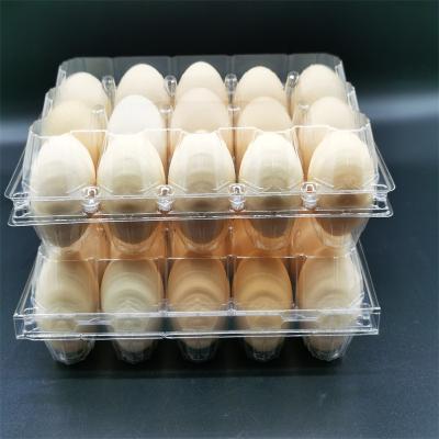 China 15 Holes Biodegradable Plastic Egg Carton Disposable Thickened PET Environmental Material for sale