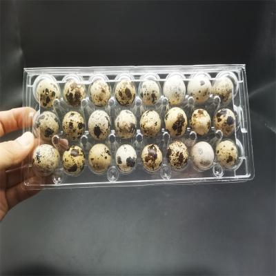 China Biodegradable factory can supply three rows of 24 well quail egg cartons for sale