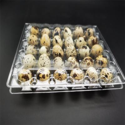 China Pack 30 Biodegradable Quail Eggs In Well 30 Egg Tray Plastic Packaging Box One Time Rack 30 Quail Eggs Plastic for sale