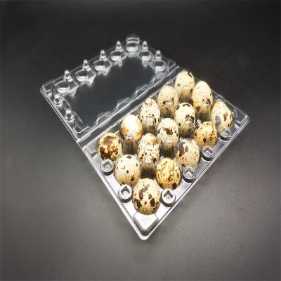 China Pack 15 Biodegradable Quail Eggs In Well 15 Plastic Trays 15 Egg Tray Plastic Packaging Box One Time Plastic Rack 15 Quail Eggs for sale