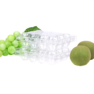 China Stylish Cheapest Factory Price 12 Cell Clear Plastic Quail Egg Tray For Picnic Barbecue for sale