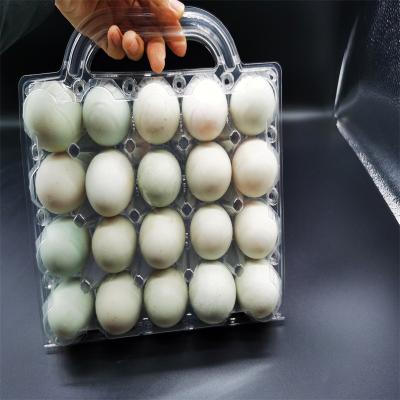 China Factory PET Material Plastic Straight Hair 20 Well Biodegradable Handheld Plastic Egg Tray Environmental Friendly Packing Box for sale