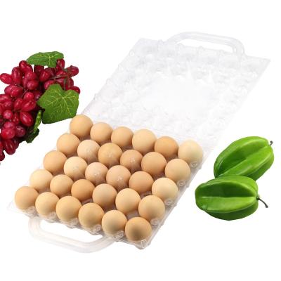 China Stylish 30 Cells Chicken Eggs Wholesale Disposable Portable Clamshell China Plastic Egg Tray With Rack for sale