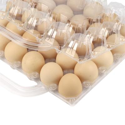 China Stylish Wholesale Disposable PET 30 Cells Clear Plastic Egg Bliseter Tray For Picnic for sale