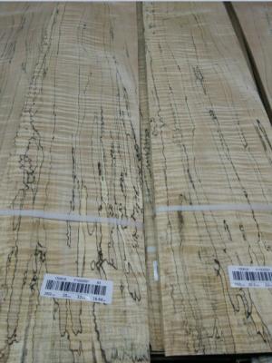 China Spalted Figured Maple Veneer for sale