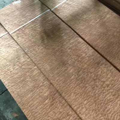 China 0.6mm Natural Sapeli Sapele Pommele Sliced Wood Veneer for Furniture Plywood Architectural Woodwork and Interior Decor for sale