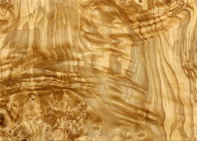 China Olive Ash Burl Natural Wood Veneer for Panel Door and Furniture Industry from www.shunfang-veneer-com.ecer.com for sale