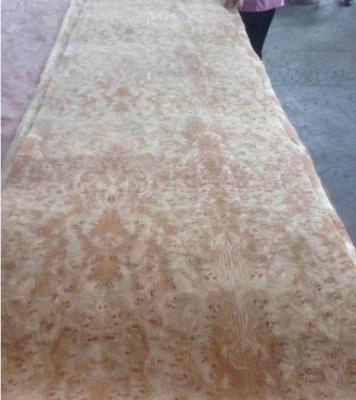 China Golden Camphor Burl Paper Backed Veneer, Paper Backed Burl Veneer for sale