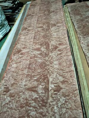 China Madrone Burl Paper Backed Veneer Sheets Paper Back Madrone Burl Veneer for sale