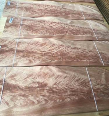 China Okoume Crotch Veneer Okoume Crotch Wood Veneer for Furniture Doors Cabinetry & Veneered Plywood for sale