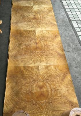 China Golden Phoebe Burl Paper Back Veneer | Paper Backing Golden Phoebe Burl Veneer Sheet for sale