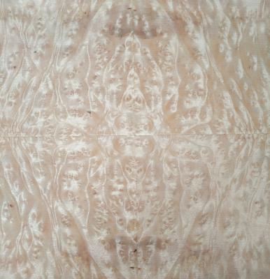 China Golden Camphor Burl Paper Back Veneer | Paper Backed Golden Camphor Burl Veneer Sheets for sale