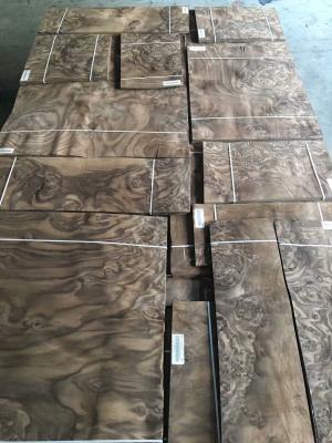 China Walnut Burl Veneer Walnut Burr Wood Veneer Burr Walnut Natural Veneers for Fine Furniture Veneer Marquetry for sale