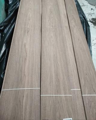 China Black Walnut Natural Wood Veneer, Crown in 0.50mm Thickness from Shunfang Veneer for sale