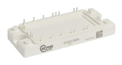 中国 OEM IGBT 1200V 50A PIM モジュール DS-SPS50P12M2M4-S04040005 V1.0 販売のため