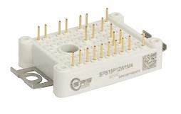 China 1200V 15A IGBT-Module EasyPIM DS-SPS15P12W1M4-S040600003 individuell angepasst zu verkaufen