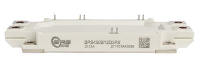 China 1200V 450A IGBT Half Bridge Module-Solid Power-DS-SPS450B12D3R8-S04050003   V1.0 zu verkaufen