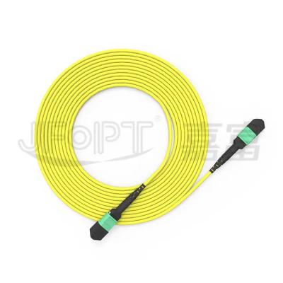 China Speed Data Transfer Made Easy with APC MTP Trunk Cable 6 Units * 24 Cores for sale