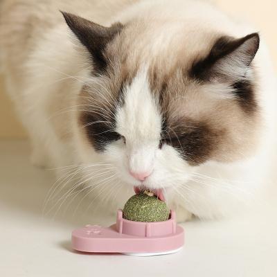 China Viable Contain Catnip Snack Lollipop Cat Toys Interactive Ball Catnip Sucker Wall Ball Cat Toy with Catnip Mint for sale