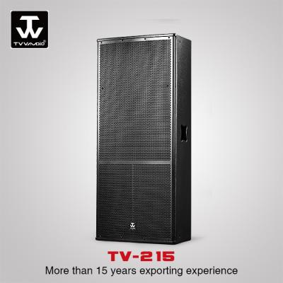 China Dual 15inch DJ Bass subwoofer Karaoke Powered Speaker Box Sound System TX-215 for sale