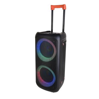 China Karaoke Player Factory Hot Sales Double 8 Inch Portable Trolley Speaker Party Speakers With JBLs Light for sale