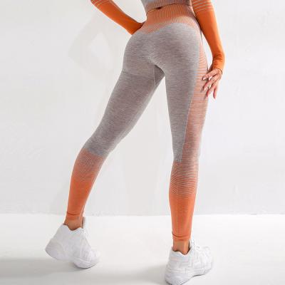 China Breathable High Quality High Waist Butt Compression Activewear Gym Women Workout Seamless Yoga Pants Lifting Gaiters for sale