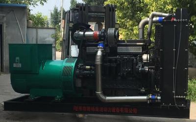 China Water Cooled Ricardo Diesel Engine Generators With Low Fuel Consumption And Digital Control for sale