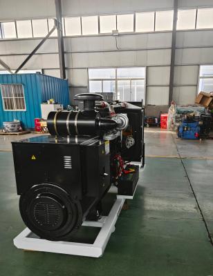 China 30 liter brandstoftankcapaciteit Dieselbrandstof type Ricardo motorgenerator voor industriële en commerciële toepassingen Te koop