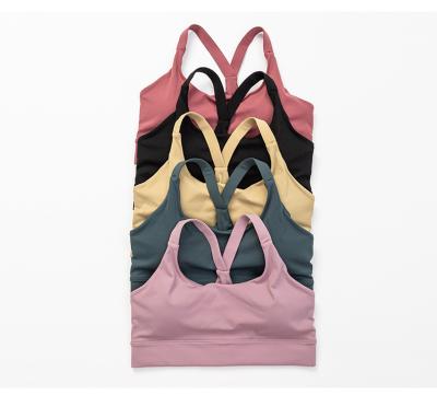 China Fashion Solid Color Breathable Breathable Ladies Non-Fitted Custom Women's Sports Bra for sale