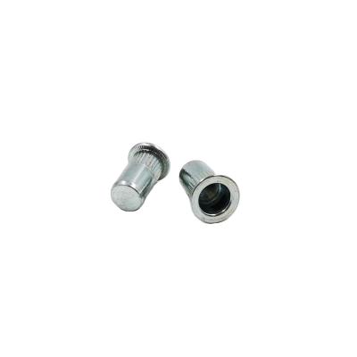 China Good price and mining quality galvanized flat head rivet nut with blind hole for sale