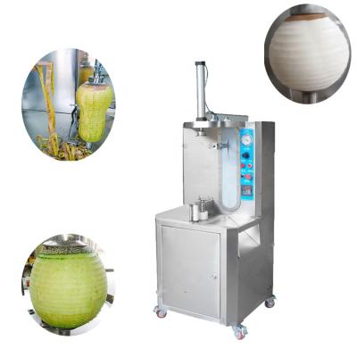 China Factory maker price fruit skin snacks peeling pineapple peeler machine for food processing for sale