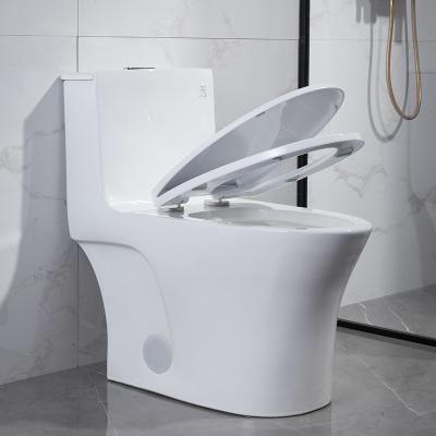 China Glazed Ceramic Siphonic Dual Flush One Piece Toilet 12 Inch Rough In for sale